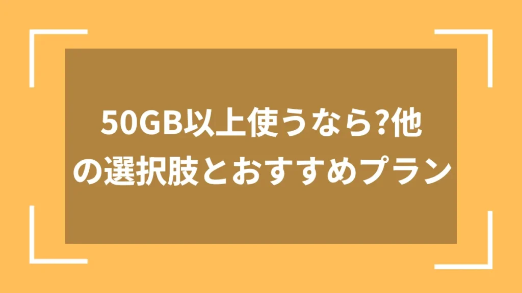 50GB以上使うなら?他の選択肢とおすすめプラン